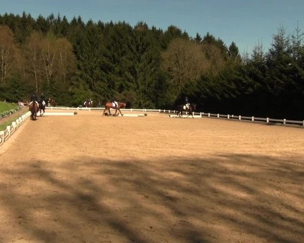 Reitturnier Halver 2016