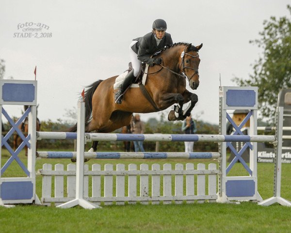 jumper Summerspirit (Hanoverian, 2004, from Silvio I)