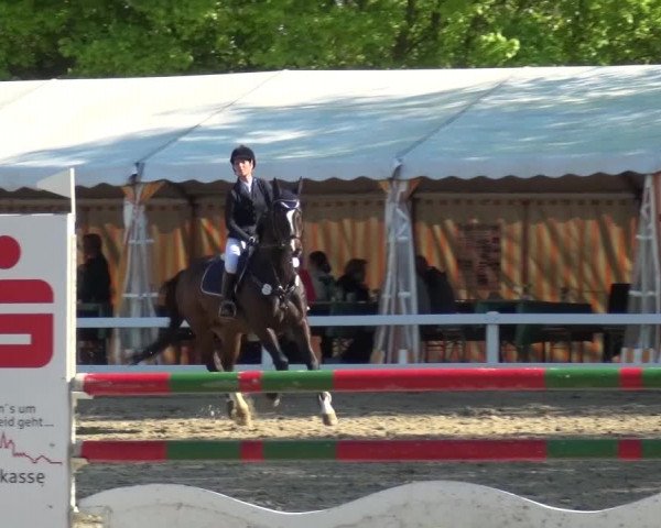 Reitturnier Köln-Seeberg 2016