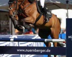 jumper Cascadeur 100 (Holsteiner, 2008, from Cartani 4)