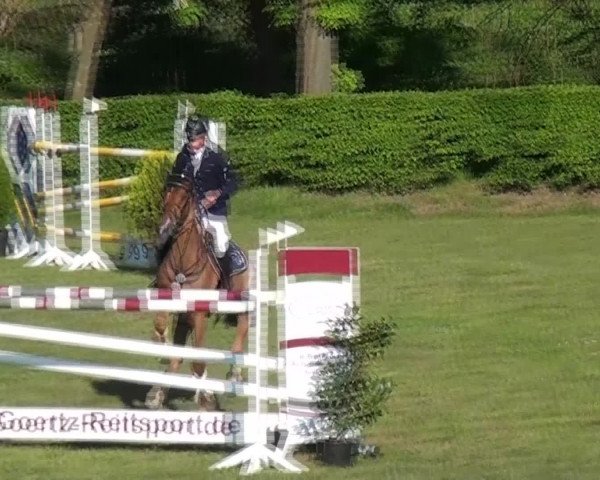 Reit- und Springturnier Jülich 2016