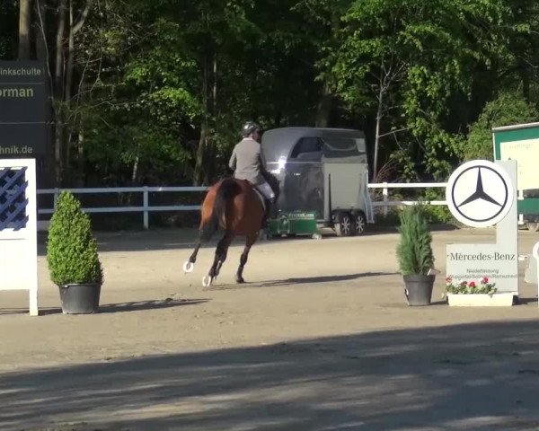 Reitturnier Köln-Seeberg 2016