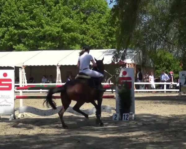 Reitturnier Köln-Seeberg 2016