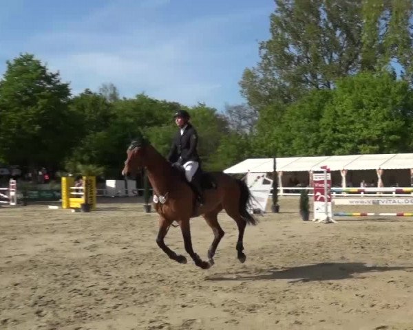 Reitturnier Köln-Seeberg 2016