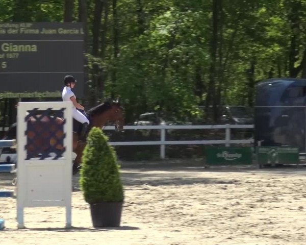 Reitturnier Köln-Seeberg 2016