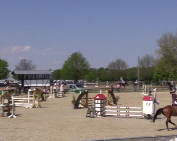 Reitturnier Hamm-Rhynern 2016
