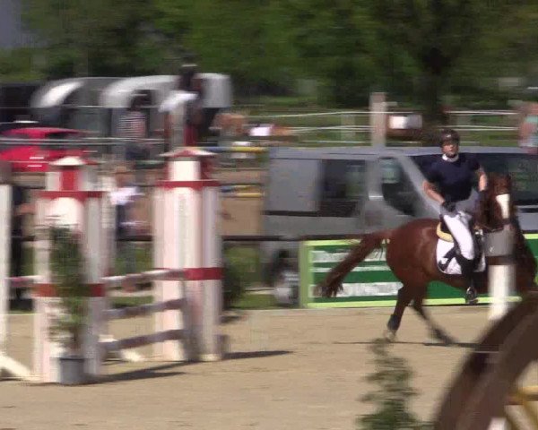 Reitturnier Hamm-Rhynern 2016