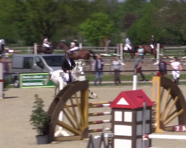 Reitturnier Hamm-Rhynern 2016