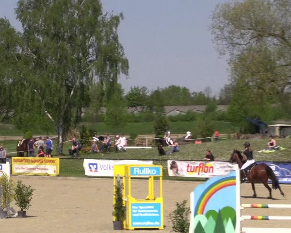 Reitturnier Hamm-Rhynern 2016