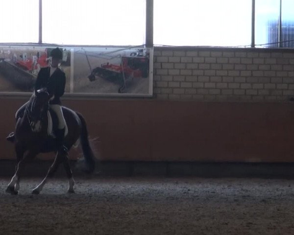Reitturnier Hellefeld 2016