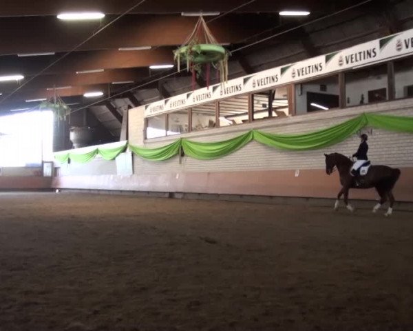 Reitturnier Hellefeld 2016