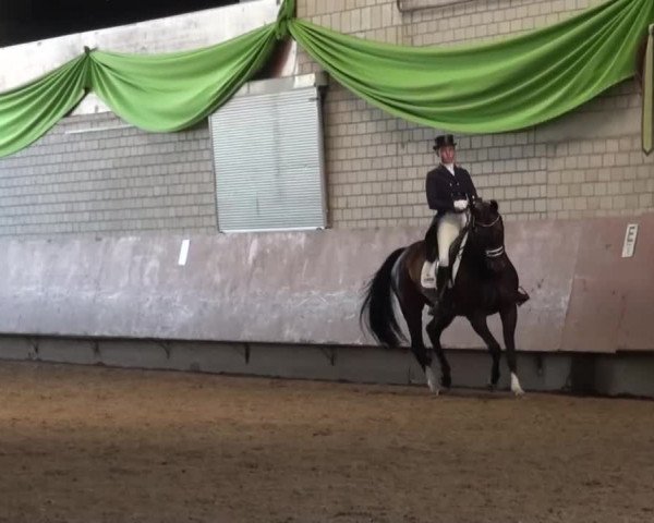Reitturnier Hellefeld 2016