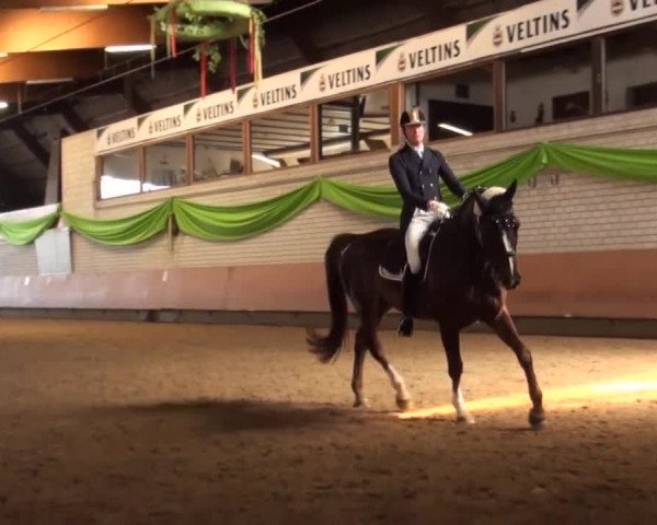 Reitturnier Hellefeld 2016