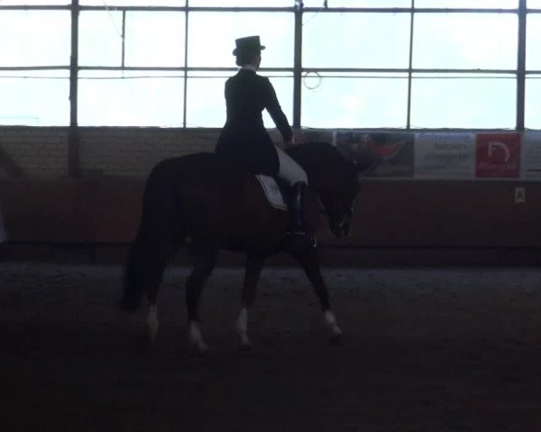 Reitturnier Hellefeld 2016