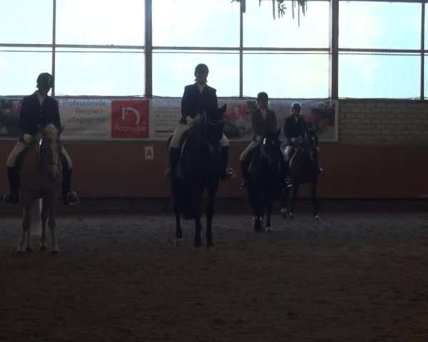 Reitturnier Hellefeld 2016