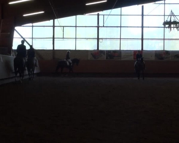 Reitturnier Hellefeld 2016