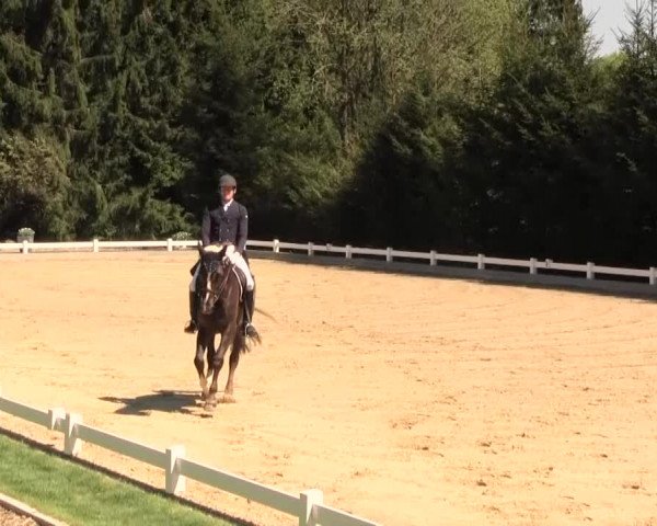 Reitturnier Halver 2016