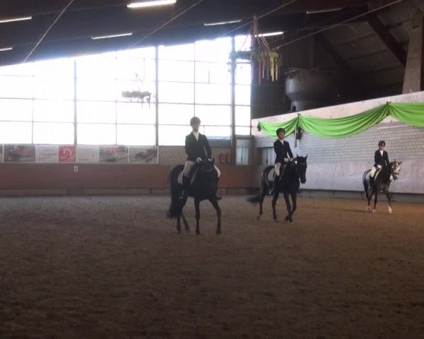 Reitturnier Hellefeld 2016