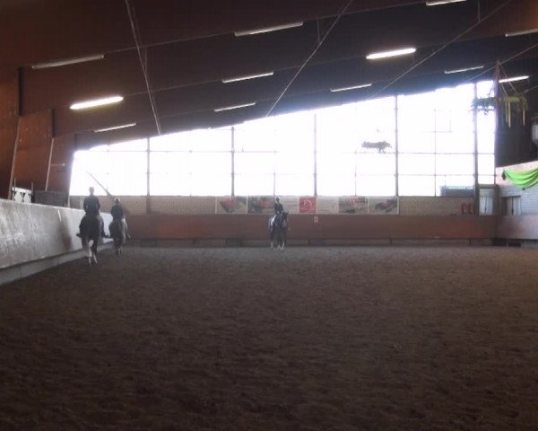 Reitturnier Hellefeld 2016