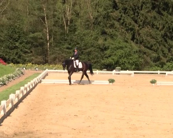 Reitturnier Halver 2016