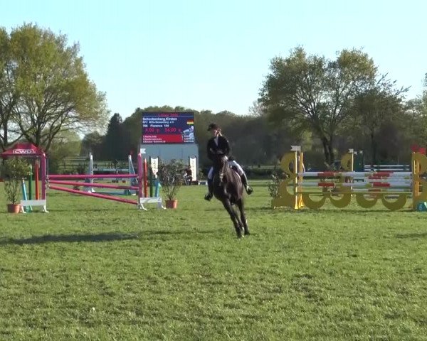 Reitturnier Lienen 2016