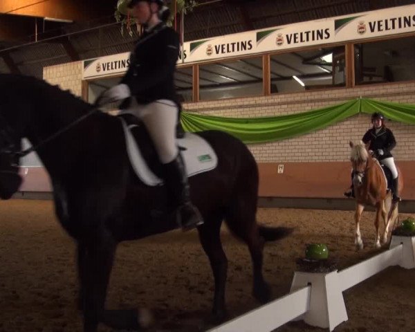 Reitturnier Hellefeld 2016