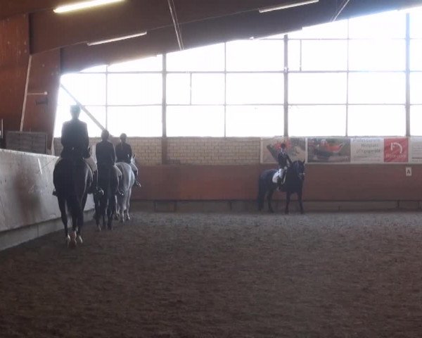 Reitturnier Hellefeld 2016