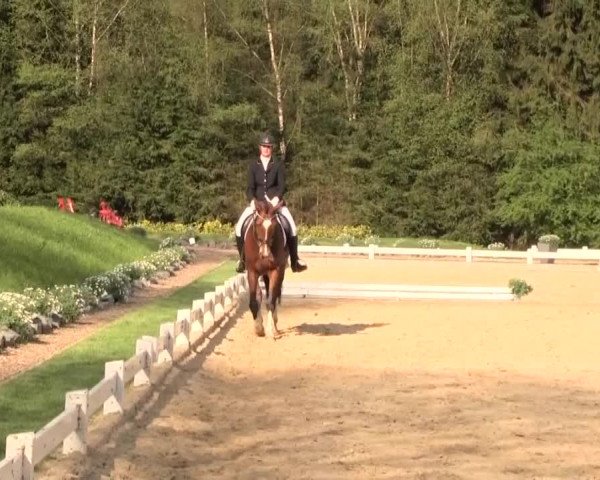 Reitturnier Halver 2016