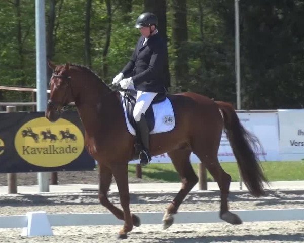 3. Holtkämper Dressurtage 2016
