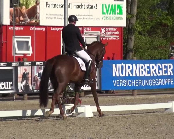 3. Holtkämper Dressurtage 2016