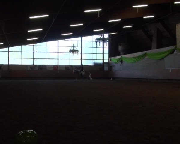 Reitturnier Hellefeld 2016