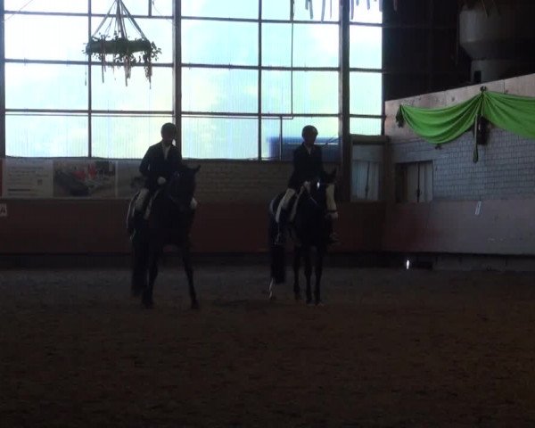 Reitturnier Hellefeld 2016