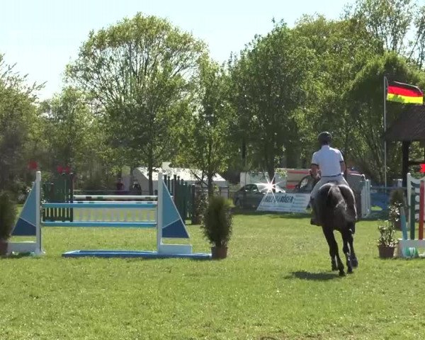 Reitturnier Lienen 2016