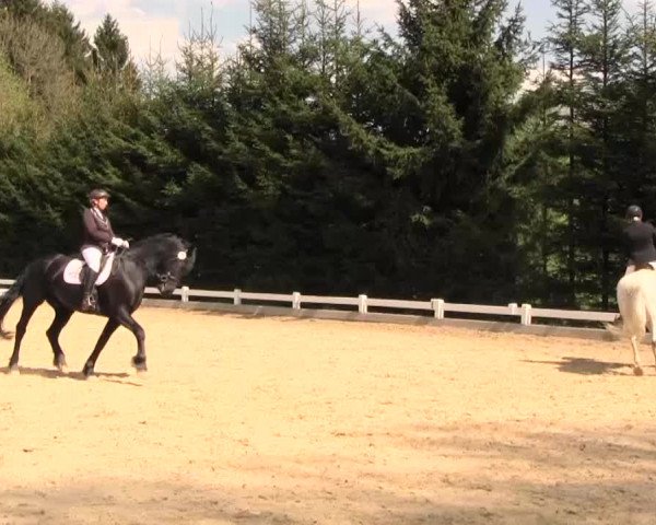 Reitturnier Halver 2016