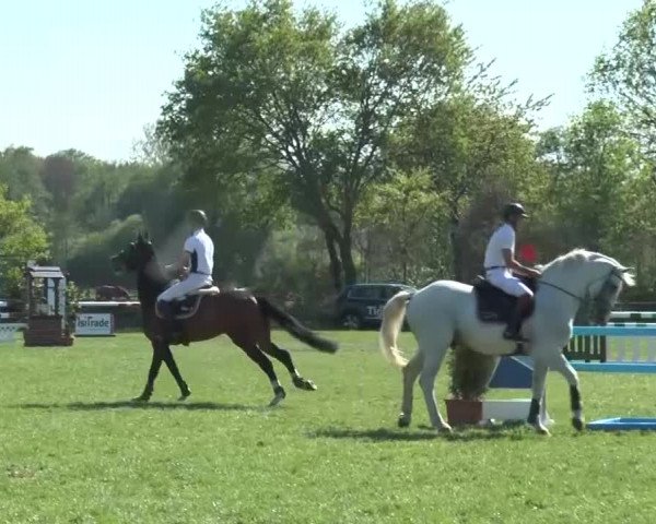 Reitturnier Lienen 2016