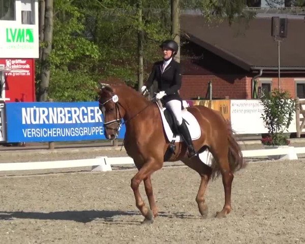 3. Holtkämper Dressurtage 2016