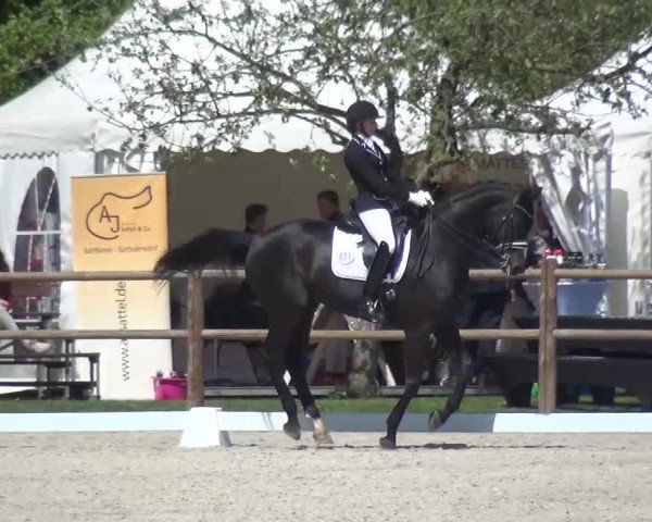 3. Holtkämper Dressurtage 2016