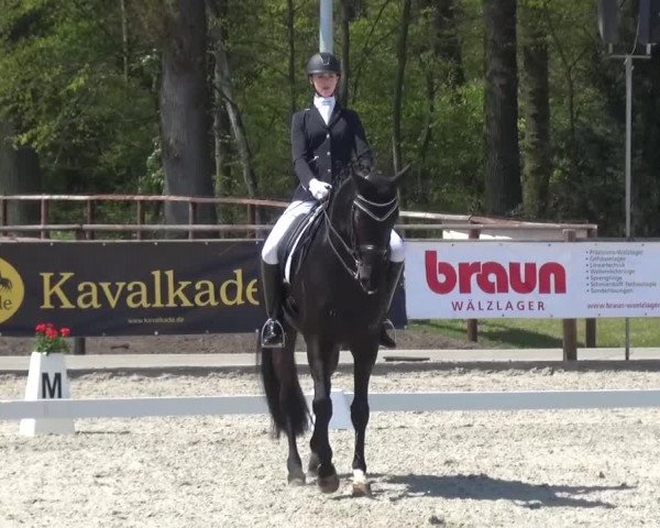 3. Holtkämper Dressurtage 2016