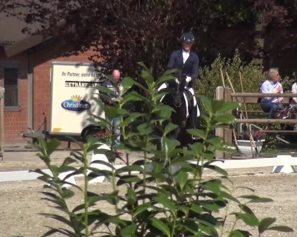 3. Holtkämper Dressurtage 2016
