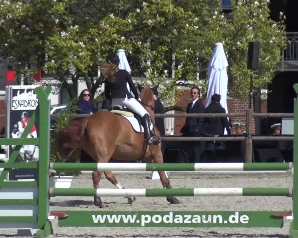 3. Holtkämper Dressurtage 2016