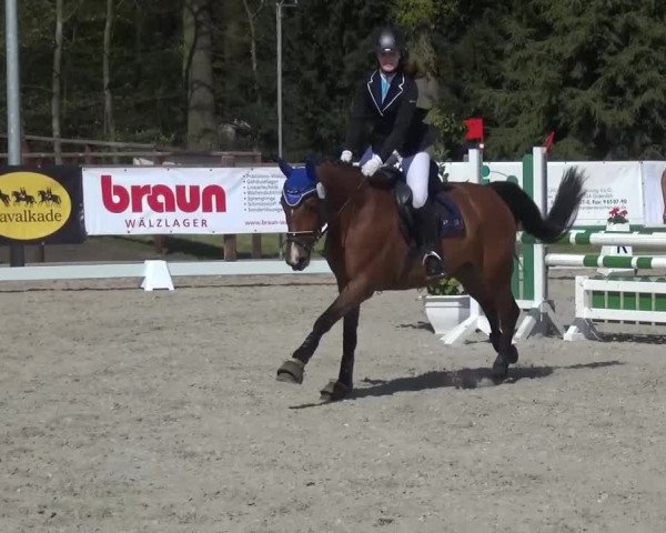 3. Holtkämper Dressurtage 2016