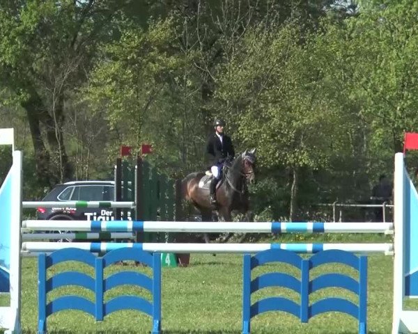 Reitturnier Lienen 2016