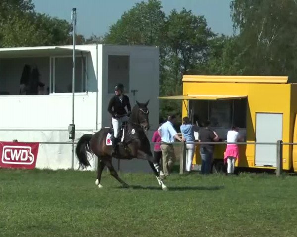 Reitturnier Lienen 2016