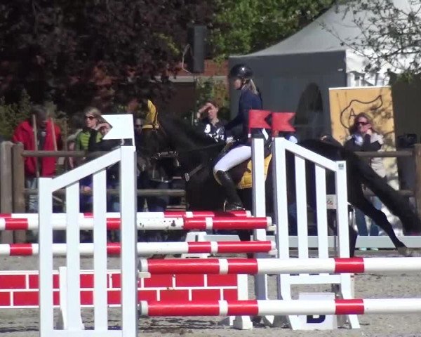 3. Holtkämper Dressurtage 2016