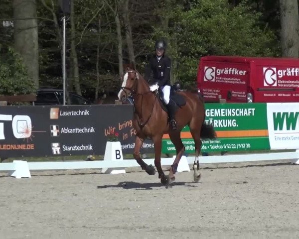 3. Holtkämper Dressurtage 2016