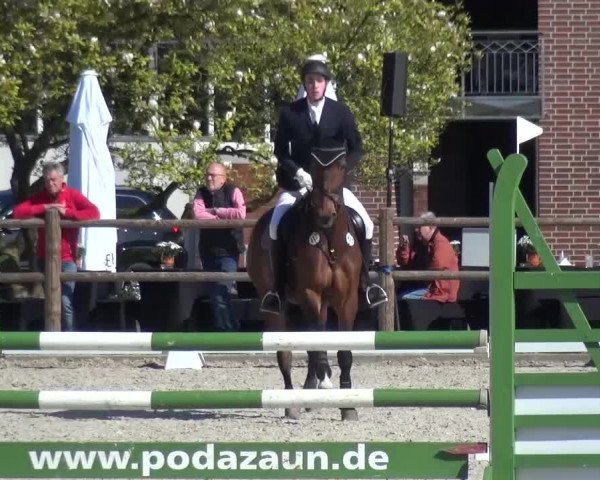 3. Holtkämper Dressurtage 2016