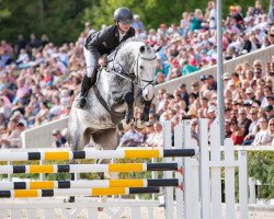 stallion Cristallino (Westphalian, 2014, from Cristallo II)