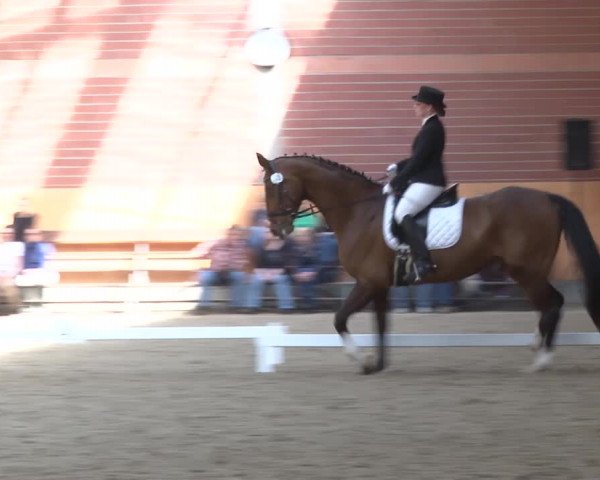 3. Holtkämper Dressurtage 2016