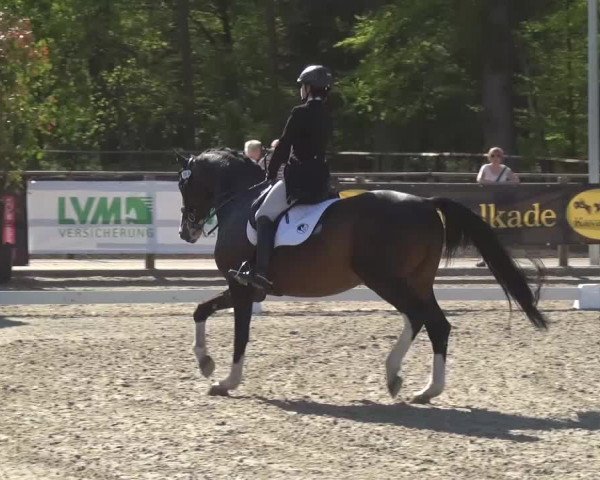 3. Holtkämper Dressurtage 2016