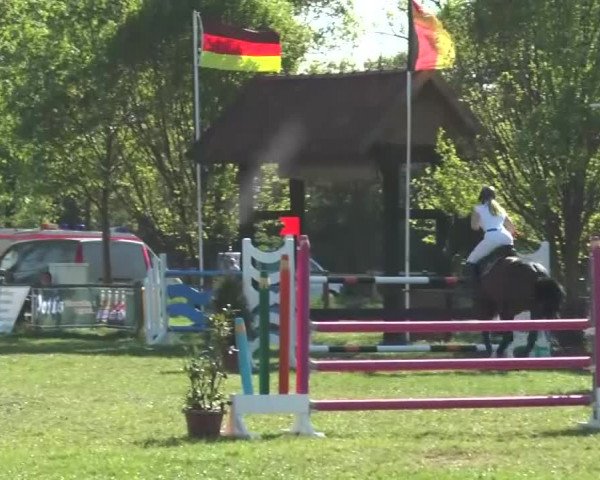 Reitturnier Lienen 2016